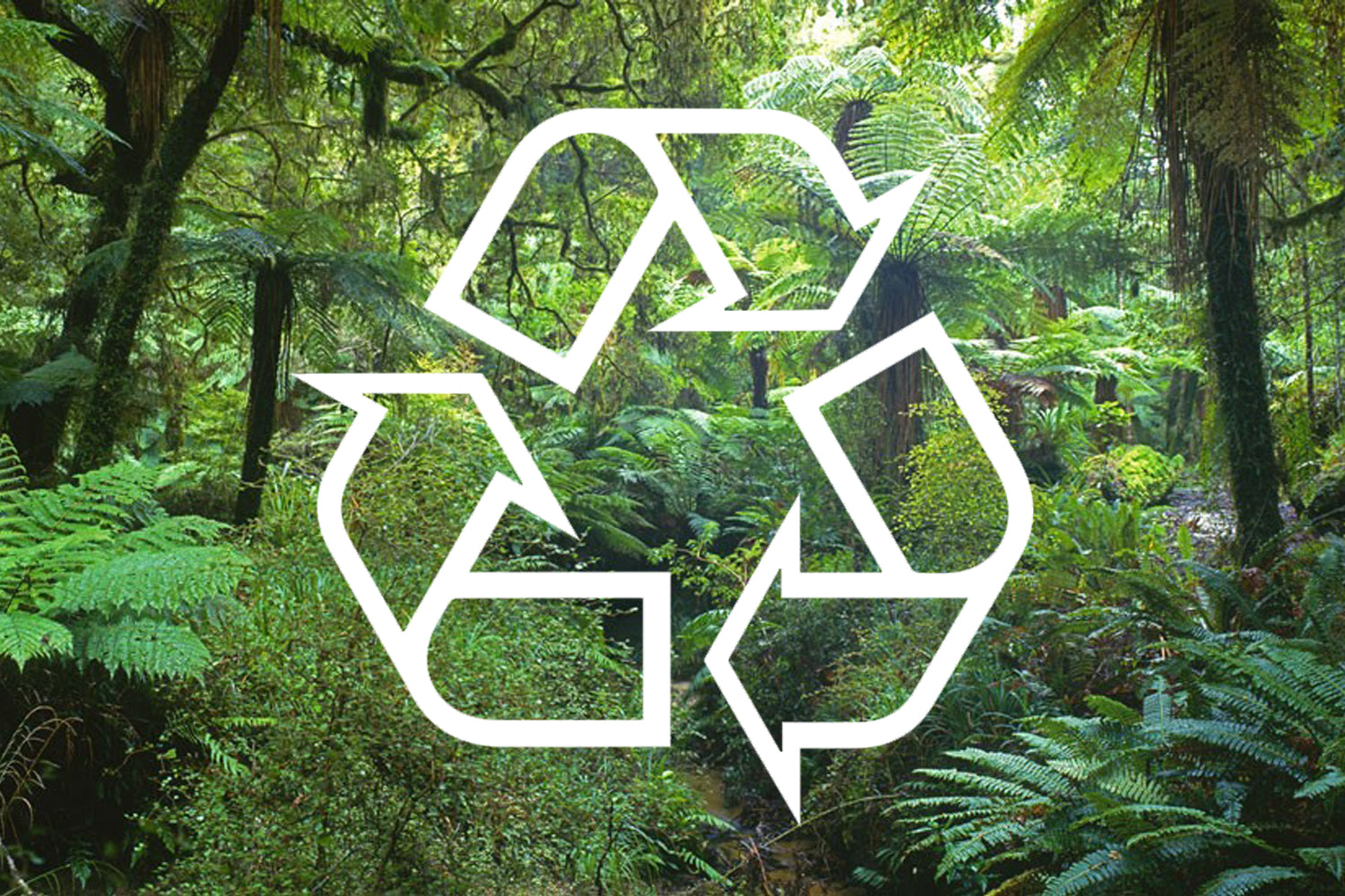 Recycling symbol superimposed on a lush green forest. Dessert Kitchen Recycling Information