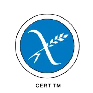 Logo with a blue circle and white 'X' symbol on a white background